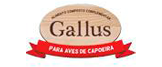 Gallus